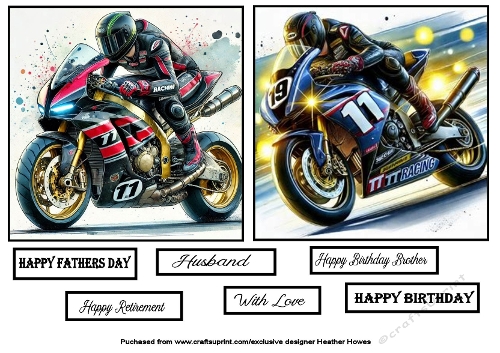 2 male motorbike tt