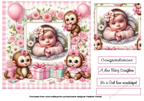 baby girl Monkey frame 