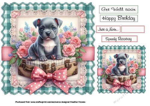 staffie pup