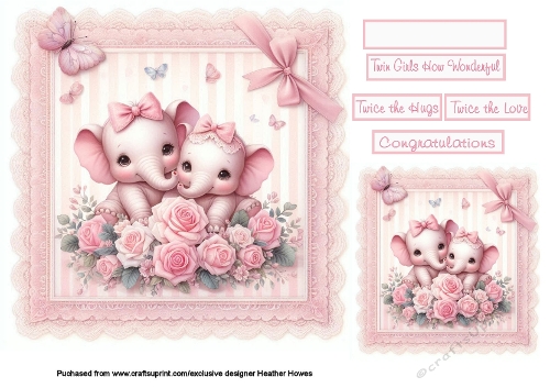 new baby girls on lace twins elephants