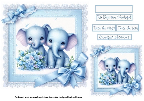 new baby boys on lace twins elephants