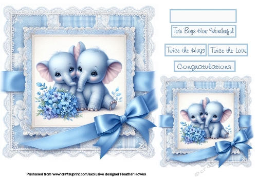 new baby boys on lace twins elephants 2