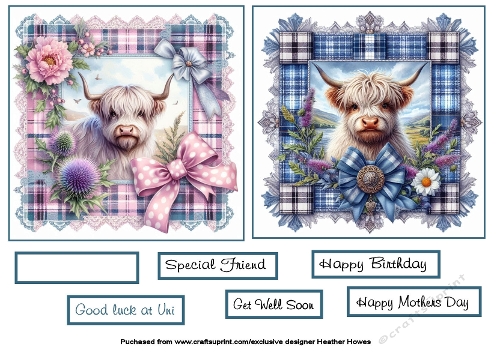 highland coos on tartan