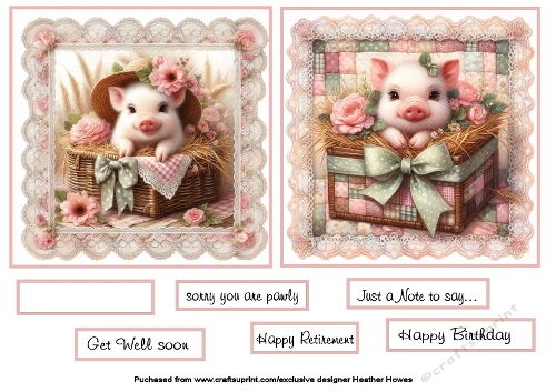 pigs on lace