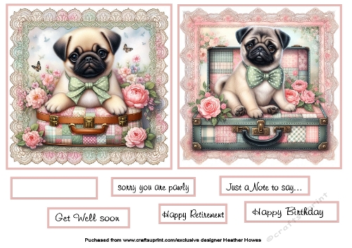 pugs on lace
