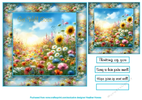 wild flowers get well soon