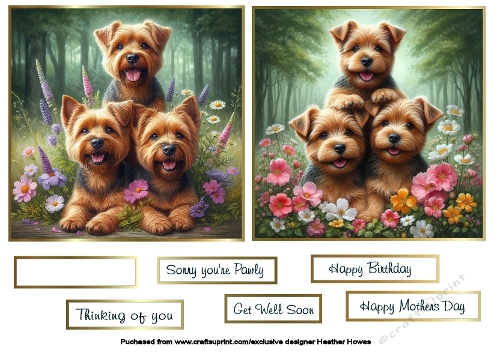 norfolk terrier toppers