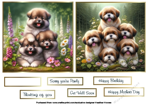 lhasa apso toppers