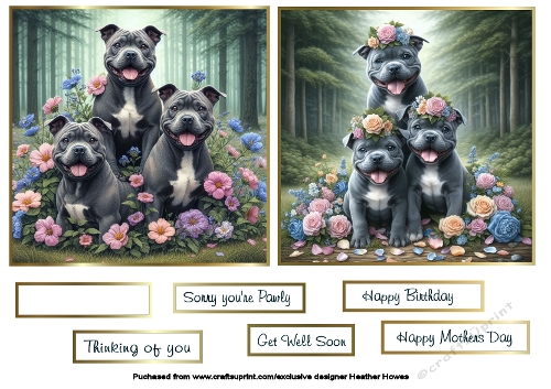 blue staffies toppers