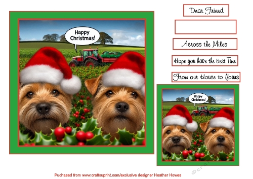 christmas norfolk terriers