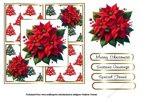 poinsettias