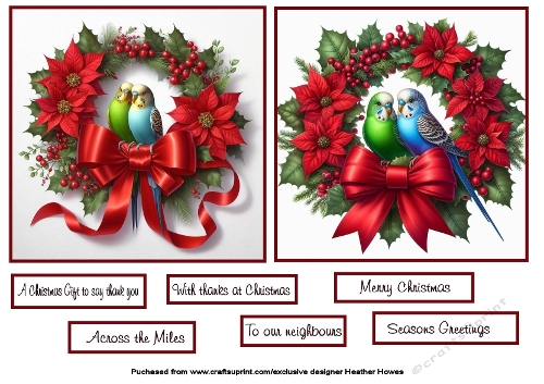 budgies at christmas 