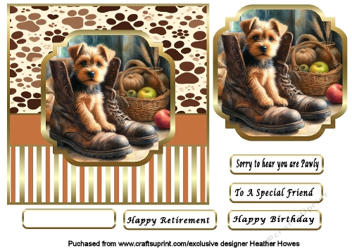 pup in boots norfolk terrier
