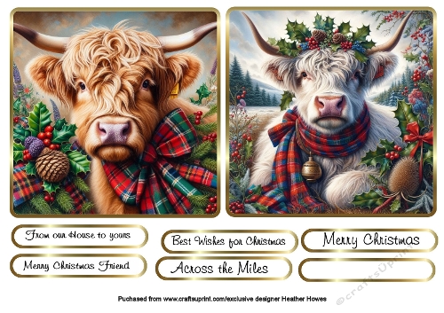 highland coos and tartan
