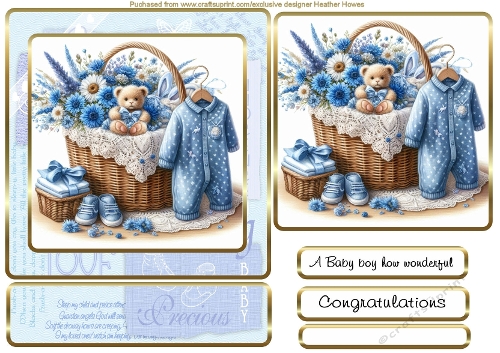 a bundle of joy its a boy