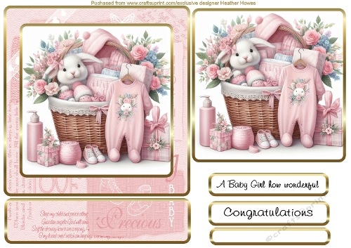 a bundle of joy its a girl