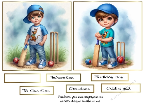 love cricket boy