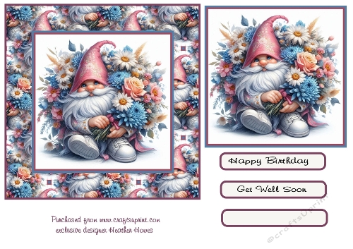 Birthday or get well Gnomefloral