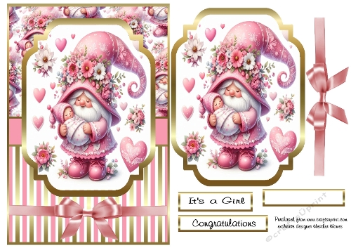 Its a girl Gnome 