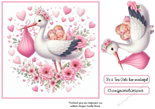 stork baby pink twin girls