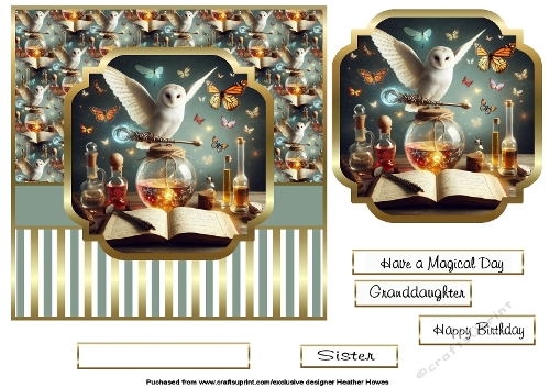 magical birthday owl