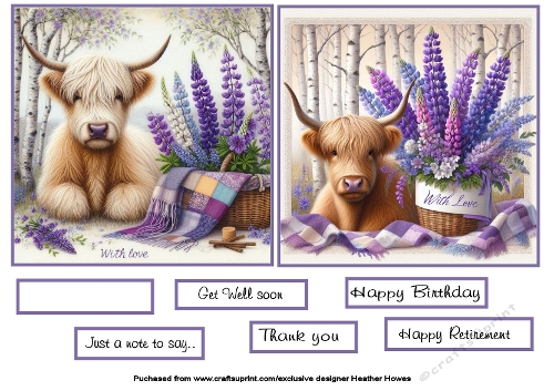 highland coo with flowers