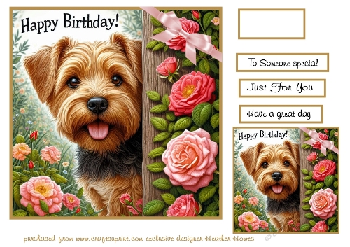 norfolk terrier and flowers happy birthday