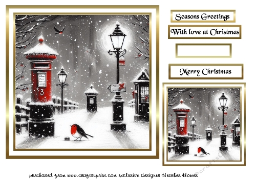 black white robin christmas red accents