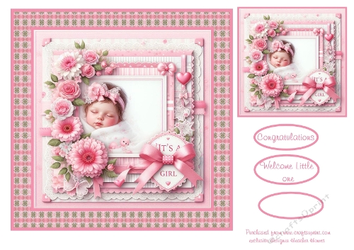 in the pink baby girl