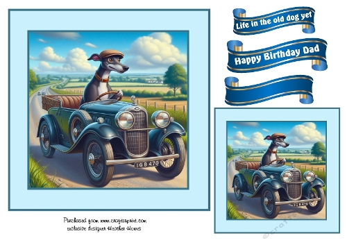life in the old dog