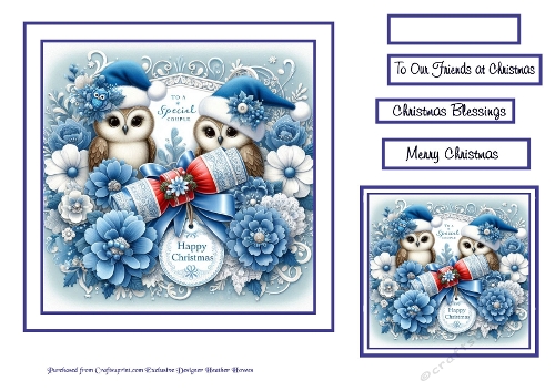 to a special couple owls blue 3