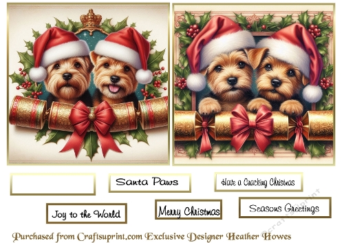 cracker dog toppers norfolk terriers