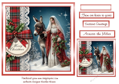 Mary and the donkey 