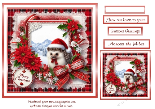 hedgehog christmas