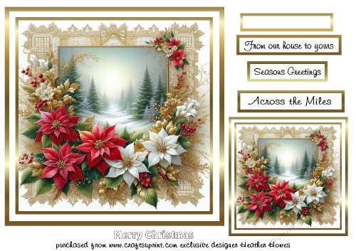 poinsettia view