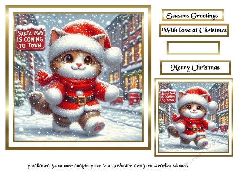  christmas santa paws cat1