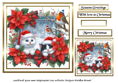 kittens 1 at christmas