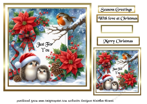 hegehogs at christmas