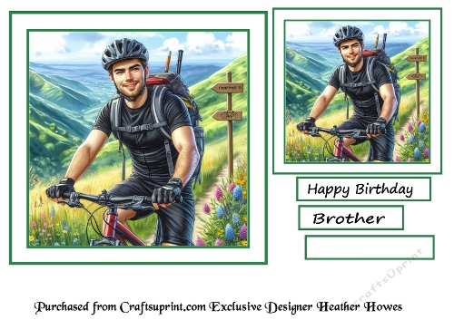 mountain bike 