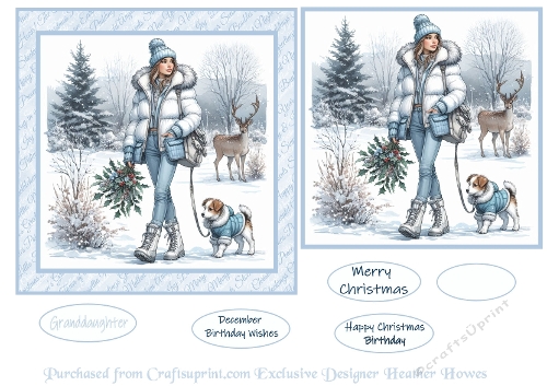 snowy christmas /birthday 2