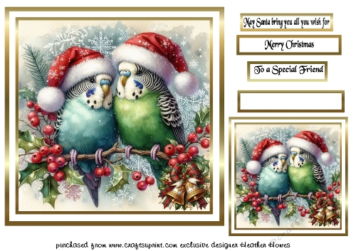 festive birds 2 budgies