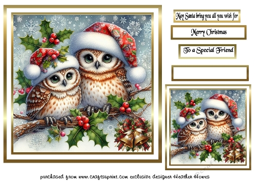 festive birds 3 owls