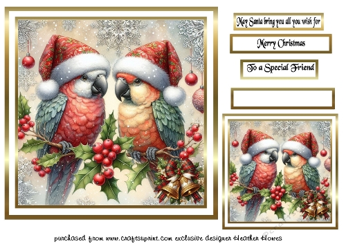festive birds 8 parrots