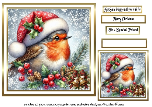 festive birds 10 another  robin