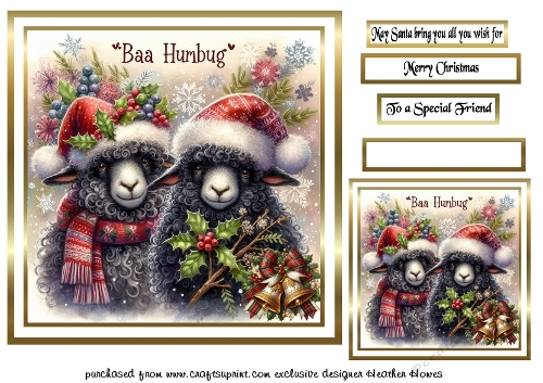 festive cards  baa humbug