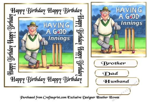 Male Birthday 5 cricket 2