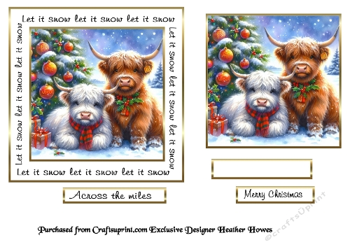 Let it snow highland coos1