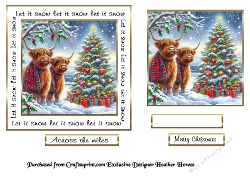 Let it snow highland coos2