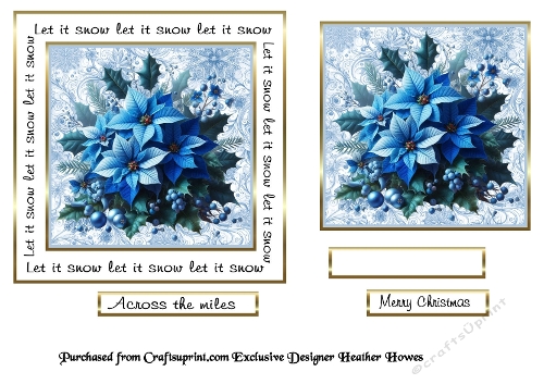 Let it snow blue poinsettias