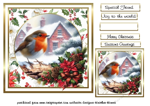 delightful  Christmas robin 2